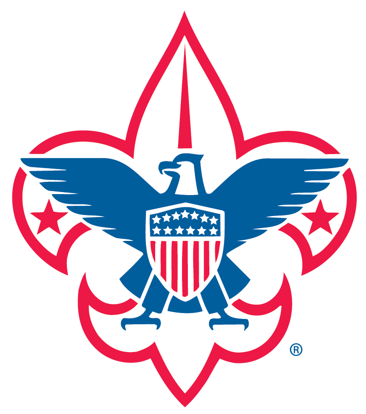 BSA National Logo