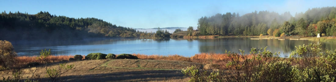Landscape image of Scout Lake at Wente Scout Reservation