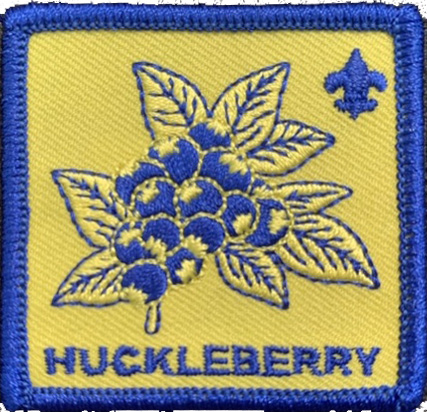 Huckleberry patch