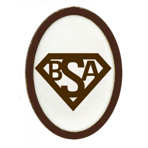 Webelos and Arrow of Light Build My Own Superhero Elective Adventure Pin