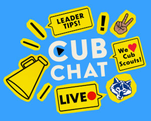 Cub chat logo