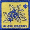 Huckleberry patch